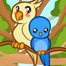 220x220 how to draw how to draw parrots for kids - Parrot Bird Drawing