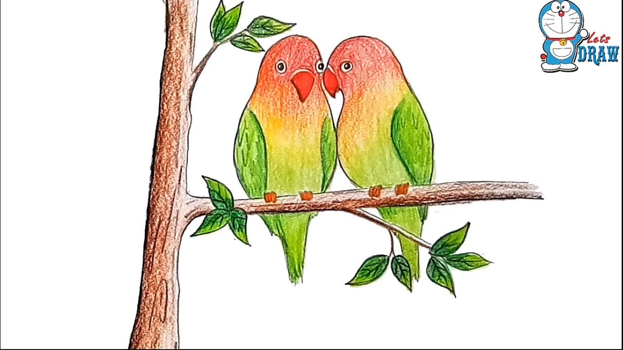 1280x720 how to draw two parrots on a branch of tree step - Parrot Bird Drawing