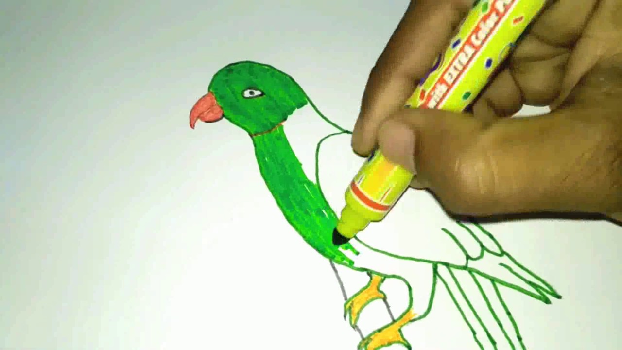 1280x720 How To Drawing Parrot For Kids Easy And Simple - Parrot Drawing