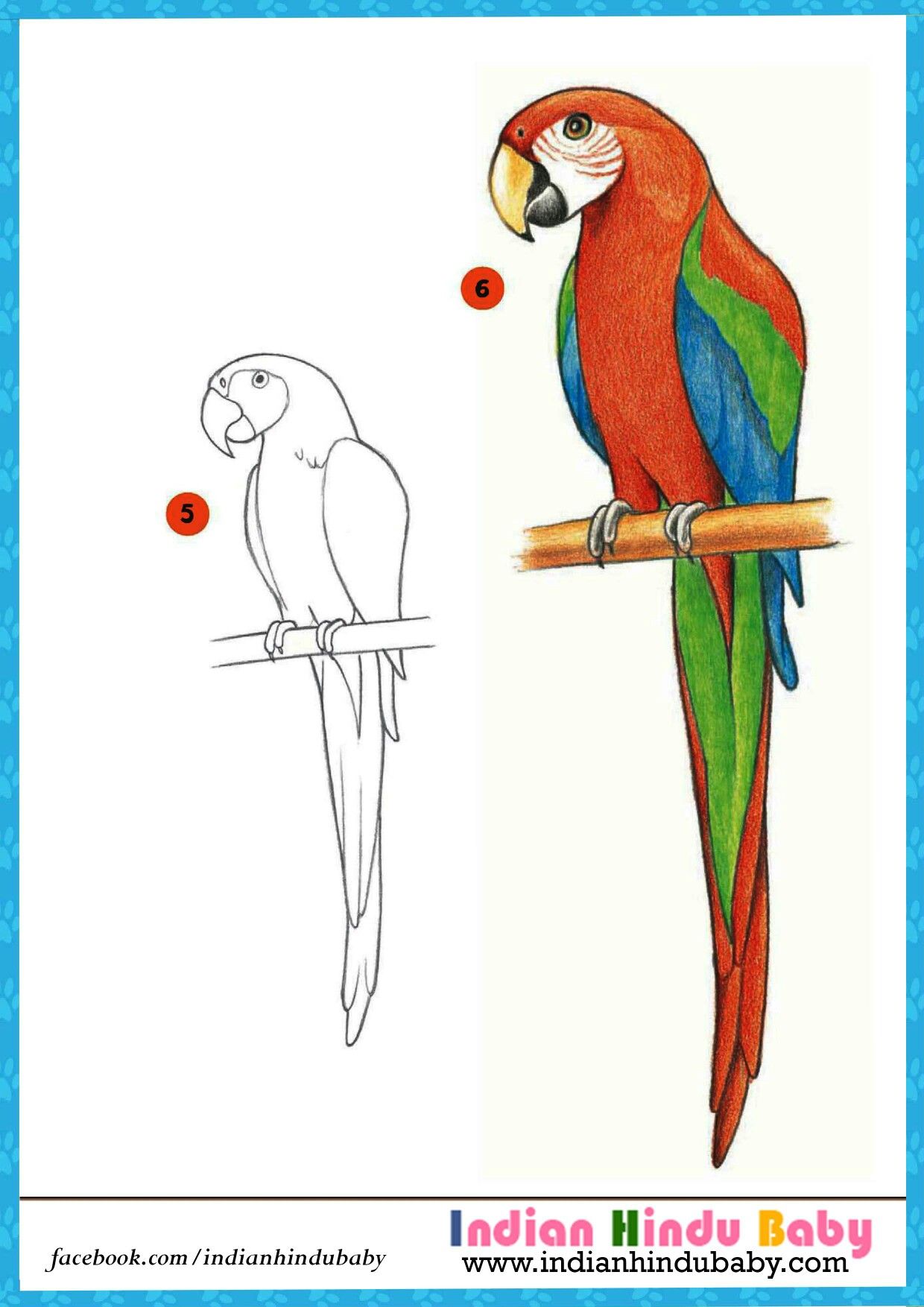 1240x1754 the beauty of colorful parrot 'macau' is marvellous teach your - Parrot Drawing