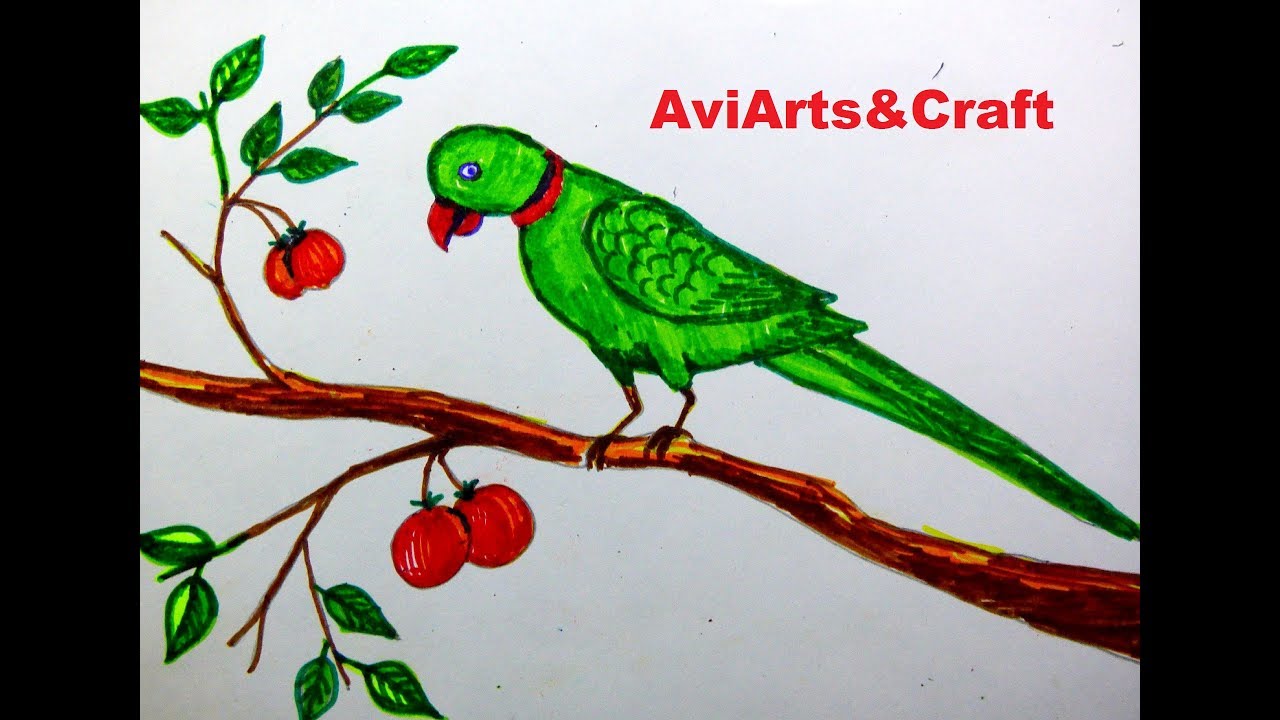 1280x720 Easy Way To Draw A Parrot School Project Drawing - Parrot Drawing