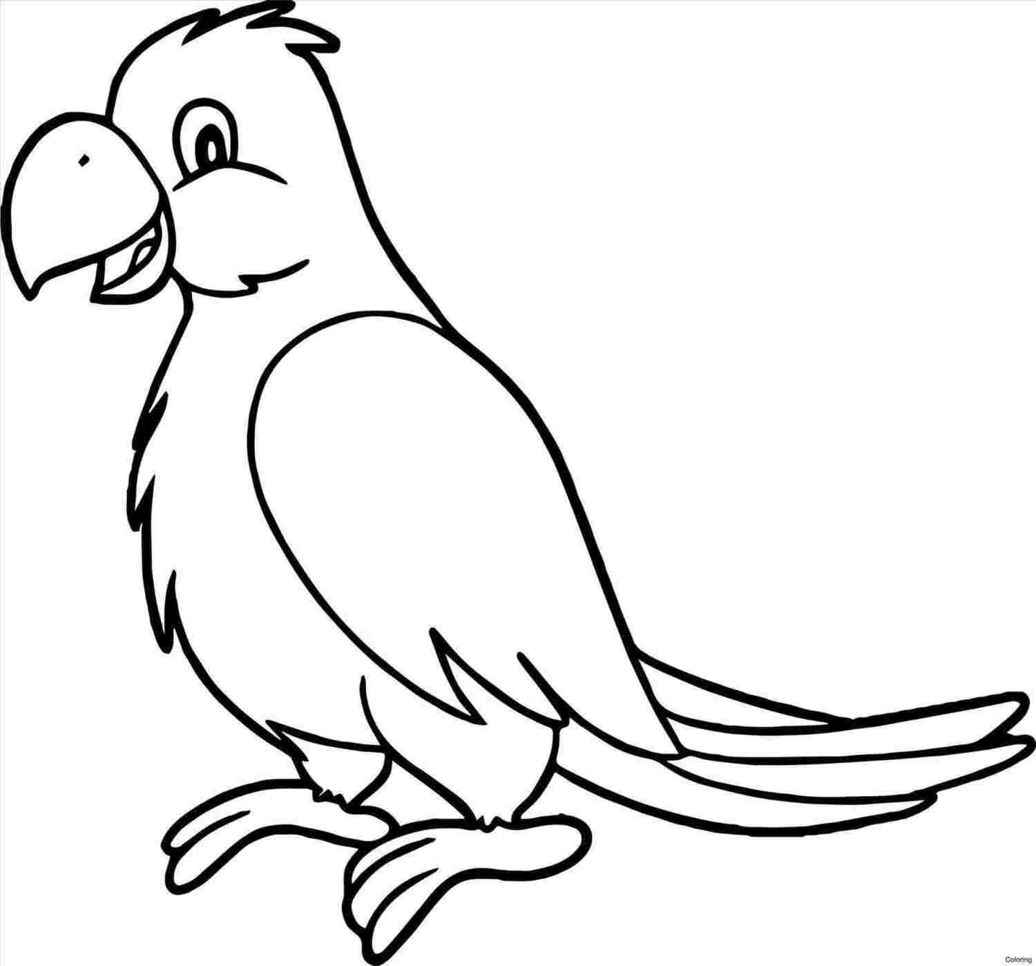 1500x1398 how parrot drawing easy to draw a parrot and color - Parrot Drawing