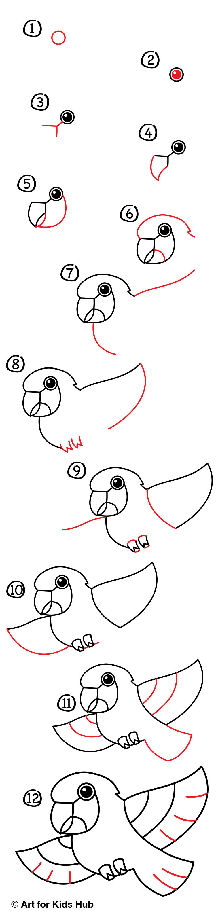750x3191 How To Draw A Cartoon Parrot - Parrot Drawing Easy