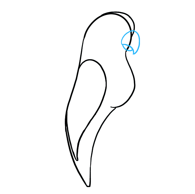 680x678 How To Draw A Parrot - Parrot Drawing Easy