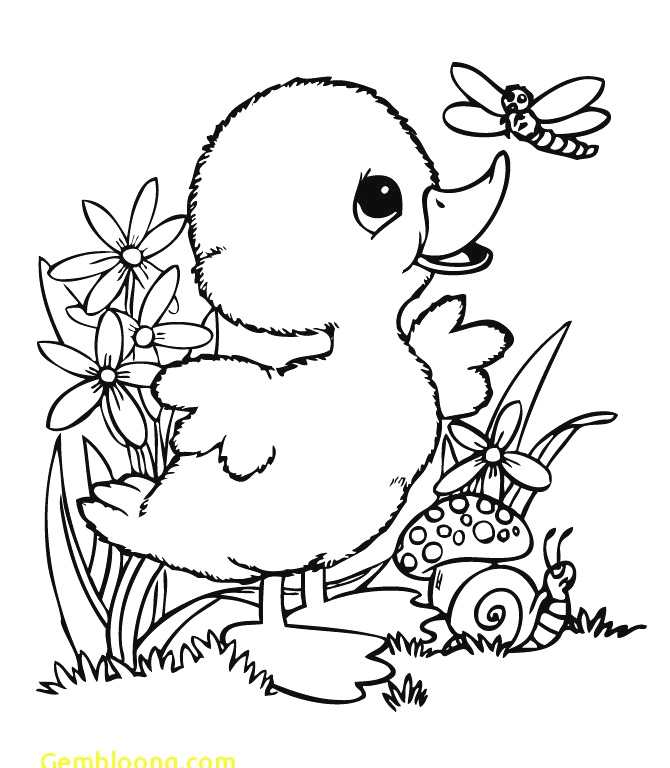 670x768 Easy Drawing Of Parrot Unique Bird Drawing How To Draw - Parrot Drawing Easy