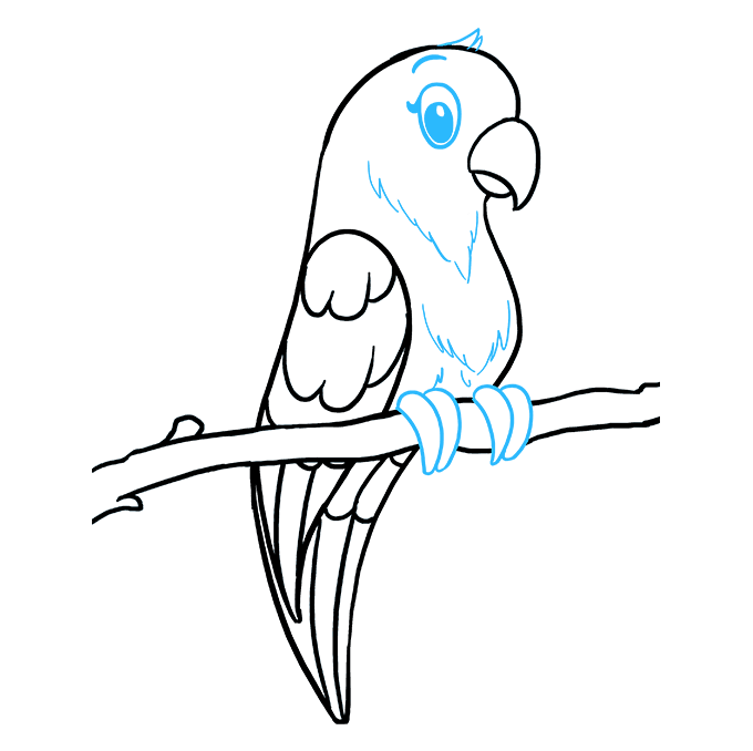 680x678 How To Draw A Parrot - Parrot Drawing Images