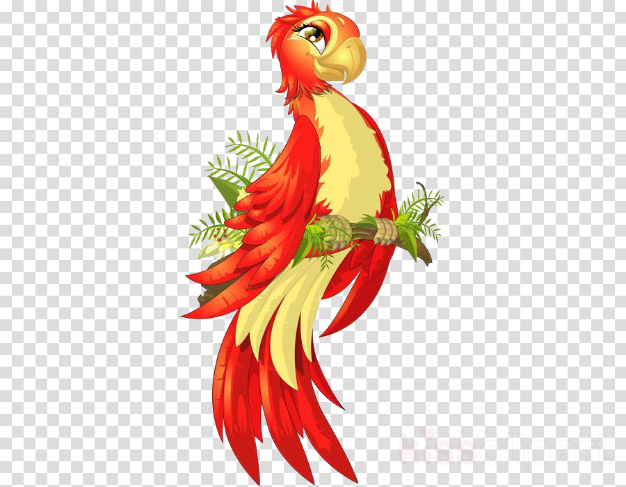 900x700 Parrot, Drawing, Illustration, Transparent Png Image Clipart - Parrot Drawing Images