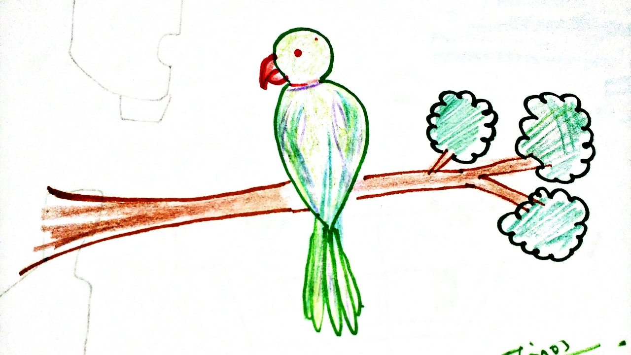 1280x720 Simple Parrot Drawing - Parrot Drawing Images