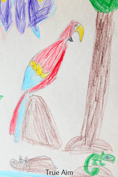 400x601 art for kids how to draw a parrot true aim - Parrot Drawing Images