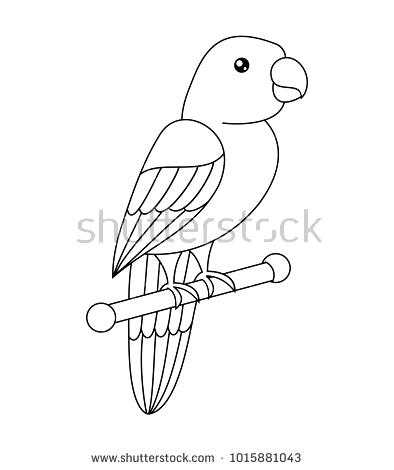 394x470 Outline Parrot On White Background Vector Stock Royalty Free - Parrot Drawing Outline