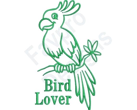 570x456 page bird outline drawing for free download bird drawing bird - Parrot Drawing Outline