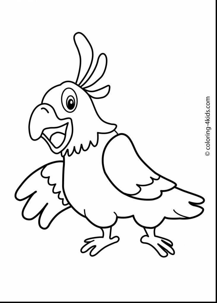 731x1024 parrot drawing new parrot drawing outline cartoon coloring - Parrot Drawing Outline