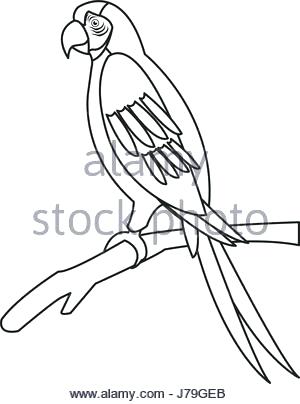300x404 parrot outline download black isolated outline icon of parrot - Parrot Drawing Outline