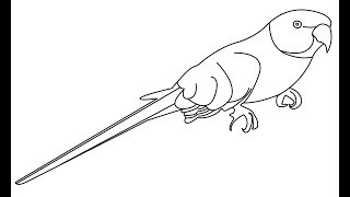 320x180 All Clip Of Parrot Drawing Outline - Parrot Drawing Outline