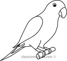 235x214 Bird Outline Drawing - Parrot Drawing Outline