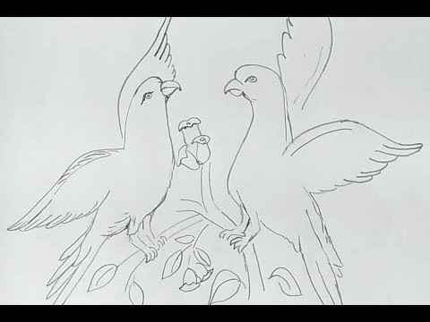 480x360 Two Parrots Drawing Parrot Outline Drawing - Parrot Drawing Outline