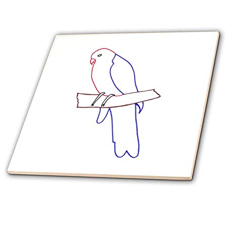 450x449 Colorful Parrot Bird Outline Art Drawing - Parrot Drawing Outline