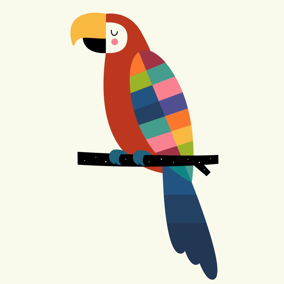 983x983 Rainbow Parrot' Canvas Print - Parrot Drawing With Colour
