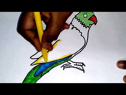 480x360 access youtube - Parrot Drawing With Colour