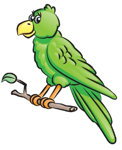 400x493 how to draw a parrot howstuffworks - Parrot Easy Drawing