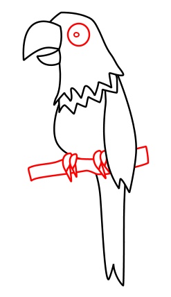 247x428 Drawing A Cartoon Parrot - Parrot Easy Drawing