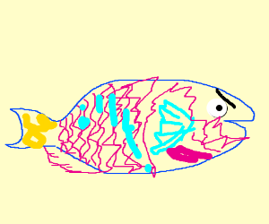 300x250 Mean Parrotfish Drawing - Parrot Fish Drawing
