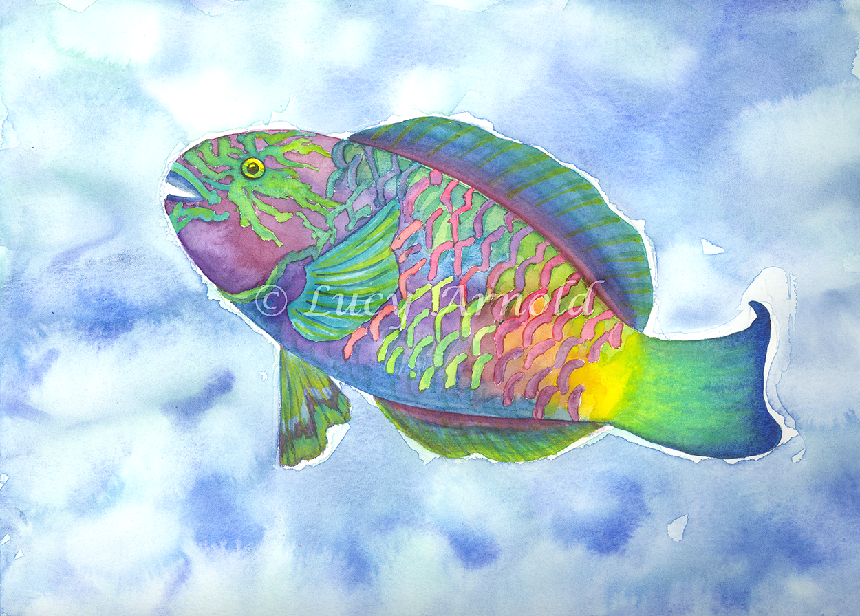 Parrot Fish Drawing at Explore collection of
