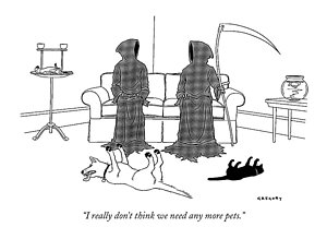 300x219 Parrot Fish Drawings Fine Art America - Parrot Fish Drawing