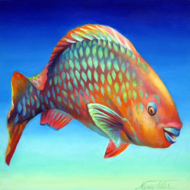 650x650 Parrot Fish - Parrot Fish Drawing