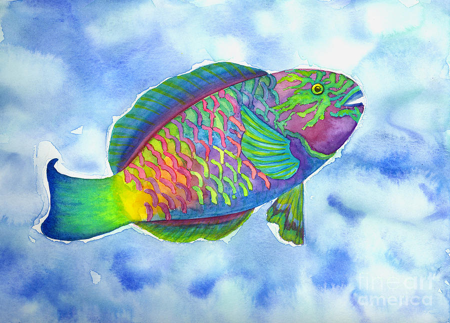900x647 Parrotfish Painting - Parrot Fish Drawing