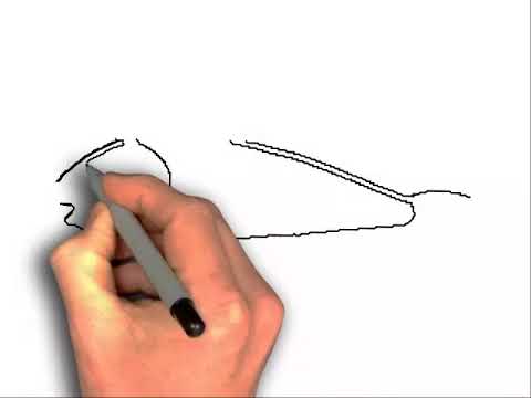 480x360 How To Draw A Parrot Fish - Parrot Fish Drawing