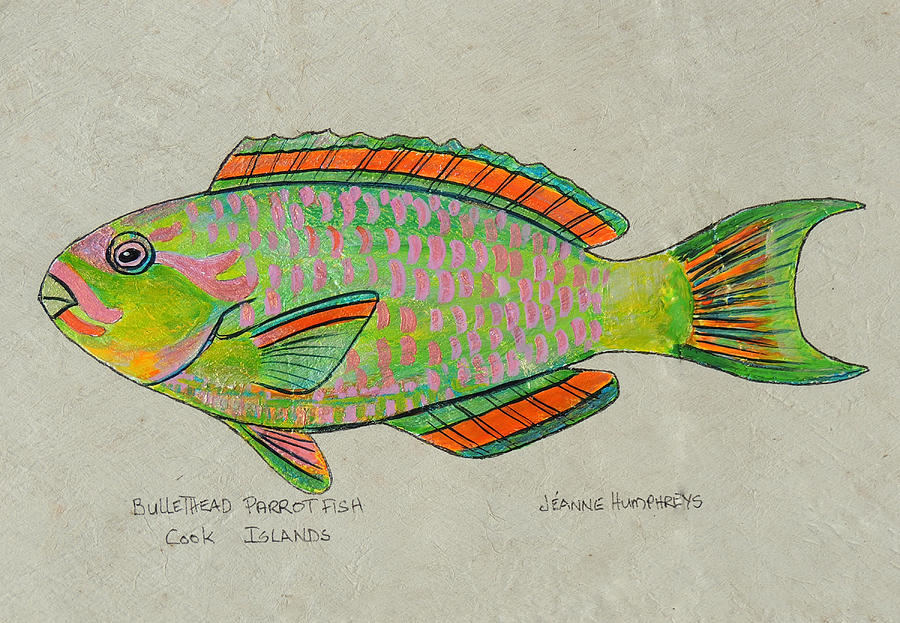 Parrot Fish Drawing at Explore collection of