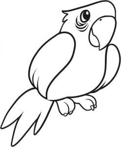248x302 How To Draw How To Draw A Parrot For Kids - Parrot For Drawing