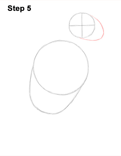 386x500 How To Draw An African Grey Parrot Video Step - Parrot Line Drawing