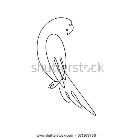 450x470 Huge Collection Of 'parrot Line Drawing' Download More Than - Parrot Line Drawing