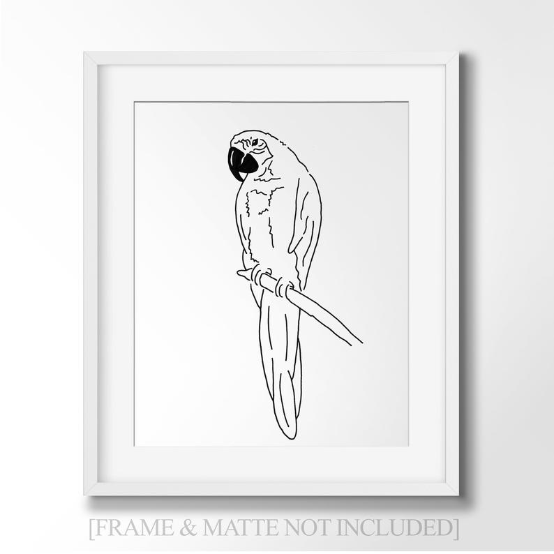 794x794 parrot line art minimalist wall art drawing pets etsy - Parrot Line Drawing