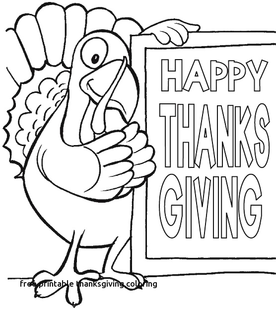 556x622 How To Draw A Parrot Easy Awesome Bird Line Drawing How To Draw - Parrot Line Drawing