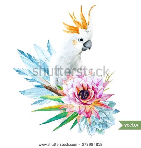 450x470 Easy To Draw Parrot How To Draw - Parrot Picture Drawing