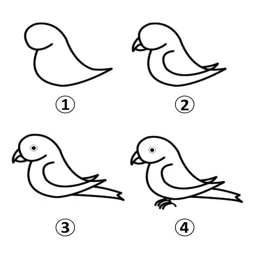 500x500 how to draw a parrot together with new to frame remarkable draw - Parrot Picture Drawing