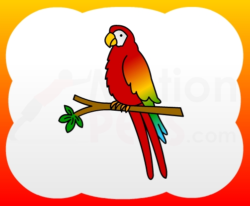 503x415 How To Draw Parrot For Kids - Parrot Picture Drawing