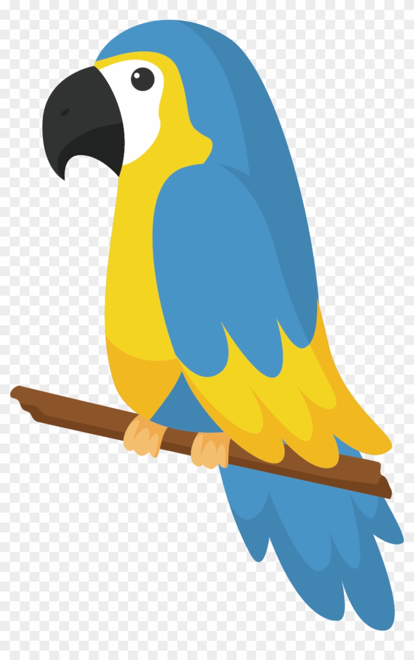 840x1339 Parrot Bird Drawing - Parrot Picture Drawing