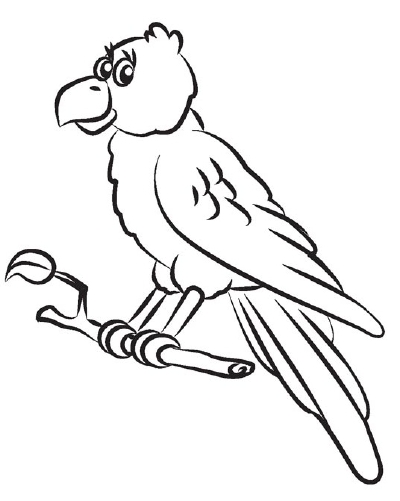 400x501 trace the final lines - Parrot Picture Drawing