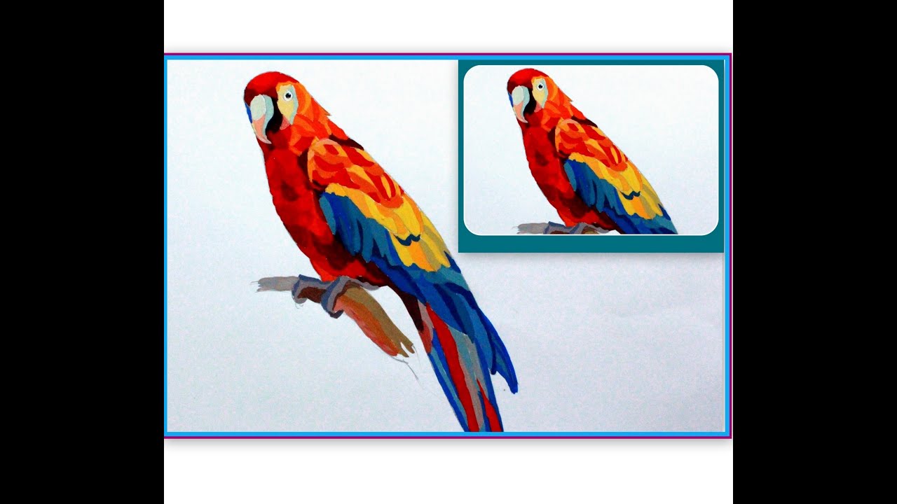 1280x720 Drawing Lessons How To Draw A Parrot - Parrot Picture Drawing
