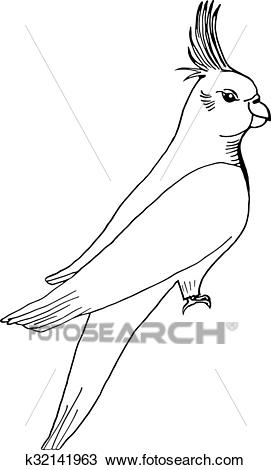 271x470 Parrot Drawing - Parrot Sketch Drawing