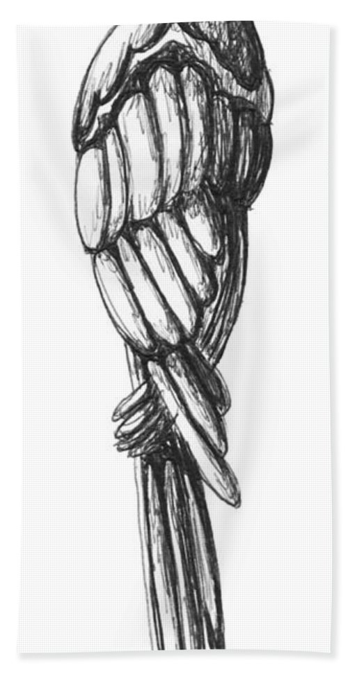 500x967 Parrot Ink Sketch Original Art - Parrot Sketch Drawing