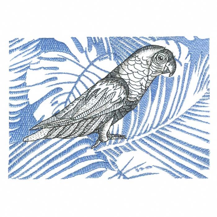 700x700 Parrot Sketch M Quality Collection - Parrot Sketch Drawing
