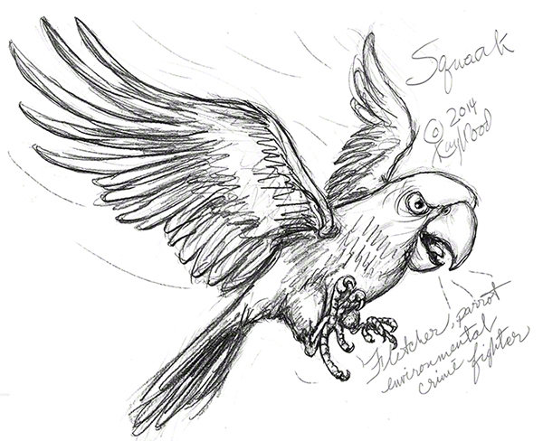 600x488 Drawing The Big Belch - Parrot Sketch Drawing