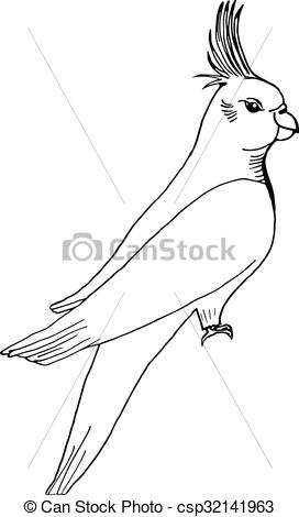 272x470 Hand Draw Parrot Sketch Style On A Black White Background, Used - Parrot Sketch Drawing