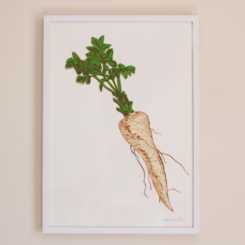 480x480 Allotment Vegetables Lottie Day - Parsnip Drawing