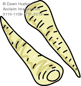 284x300 Clipart Image Of A Whimsical Drawing Of Parsnips - Parsnip Drawing